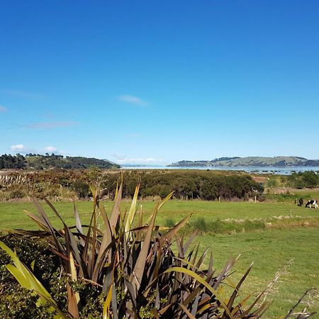 فندق The Little Farm Coromandel المظهر الخارجي الصورة