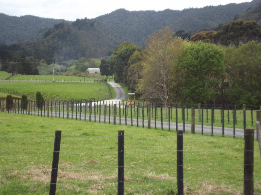 فندق The Little Farm Coromandel الغرفة الصورة