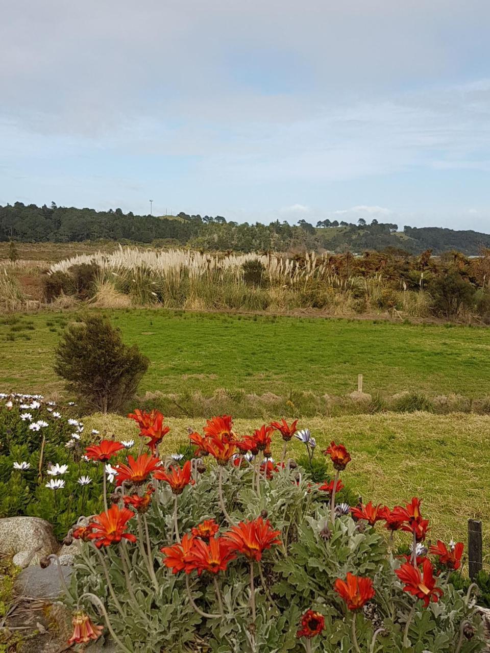 فندق The Little Farm Coromandel المظهر الخارجي الصورة