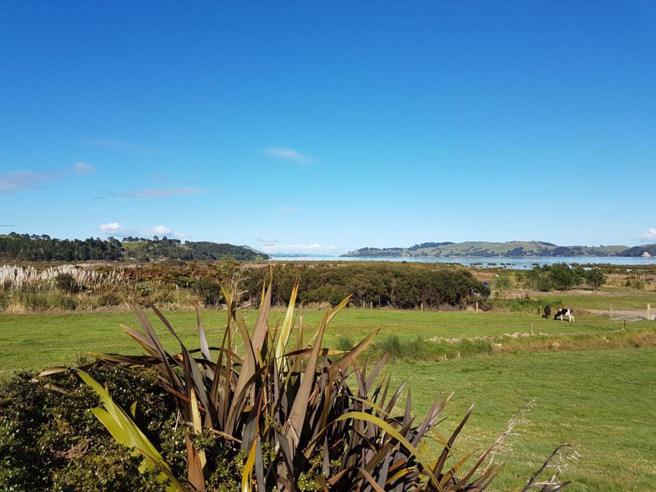 فندق The Little Farm Coromandel المظهر الخارجي الصورة