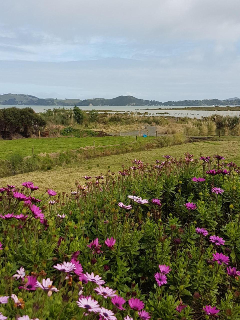 فندق The Little Farm Coromandel المظهر الخارجي الصورة