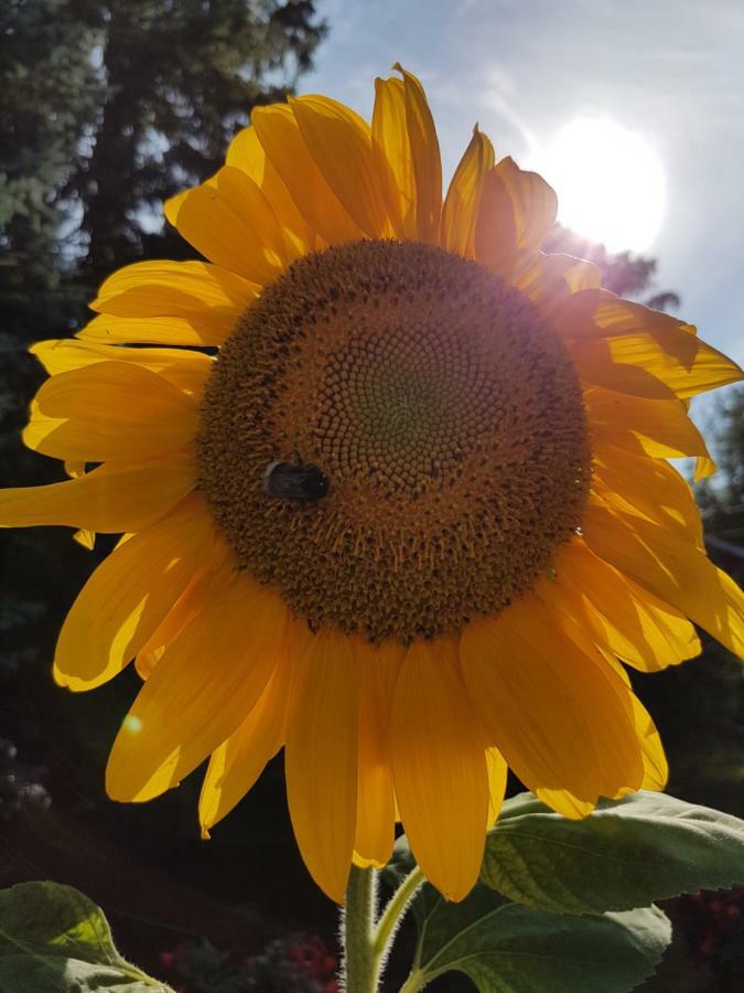 فندق The Little Farm Coromandel المظهر الخارجي الصورة